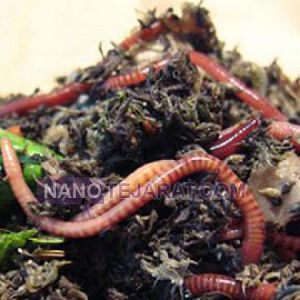 مشاوره و راه اندازی فارم تولید کود مشاوره و راه اندازی فارم تولید کود